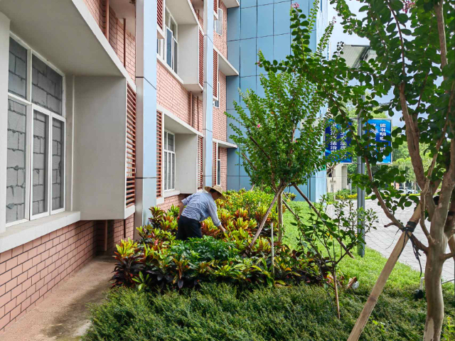 中山高人流养护药剂,养护