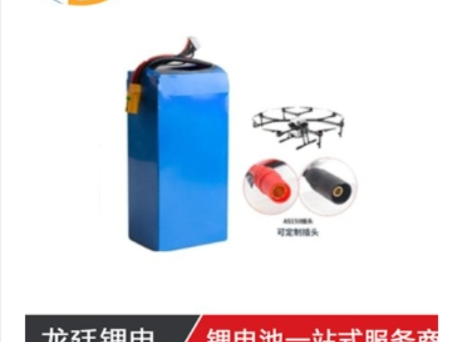 天津手持电动工具电池批发 深圳市龙廷科技供应;