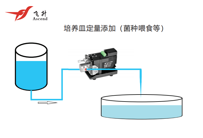 廣州微量清洗泵定制 廣州飛升精密設備供應