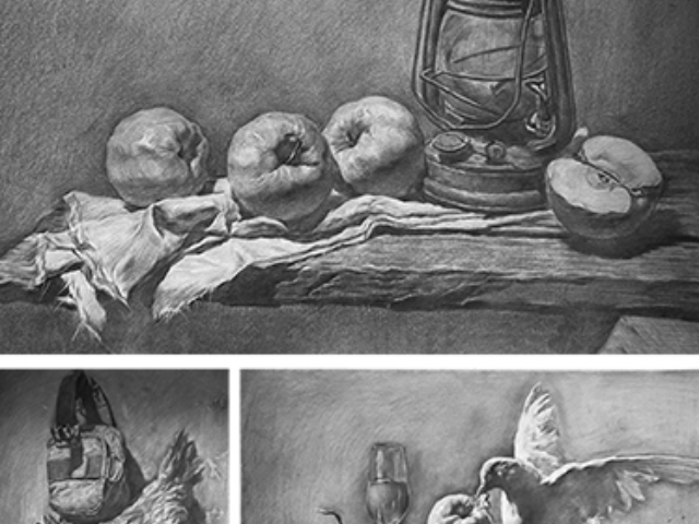 金牛區(qū)美術(shù)聯(lián)考畫室教學(xué)優(yōu)勢 成都市金牛區(qū)魚族恩光文化藝術(shù)培訓(xùn)供應(yīng)