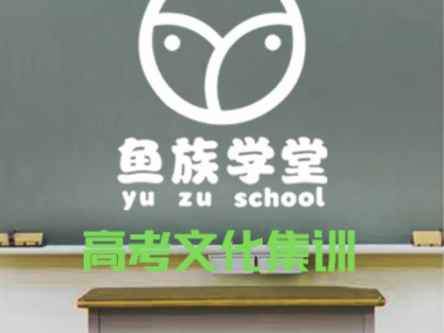 金牛區(qū)定制化藝考文化課培訓(xùn)推薦哪家 成都市金牛區(qū)魚族恩光文化藝術(shù)培訓(xùn)供應(yīng)