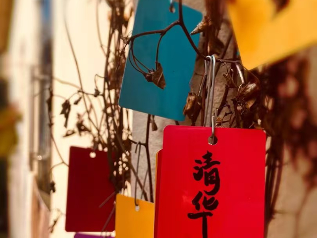 成都艺考鱼族学堂官网