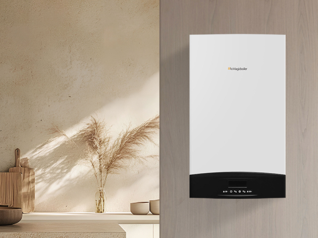 烏魯木齊生活熱水兩用全預混冷凝壁掛爐價格怎么樣