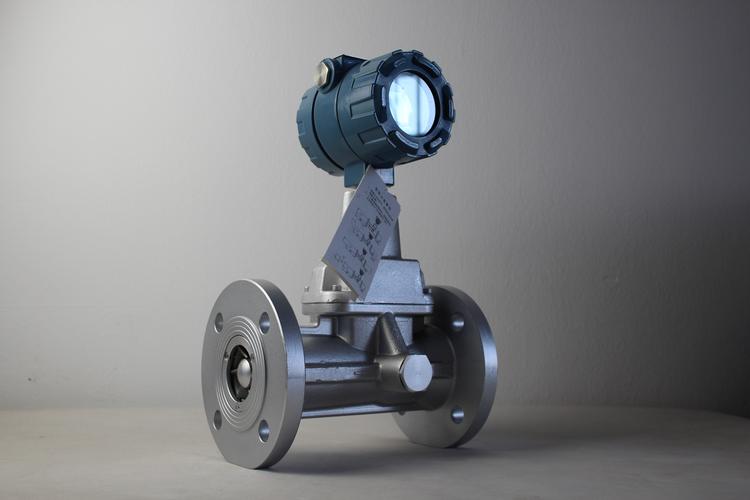 旋進(jìn)旋渦流量計(jì)