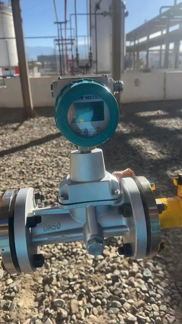 旋進(jìn)旋渦流量計(jì)