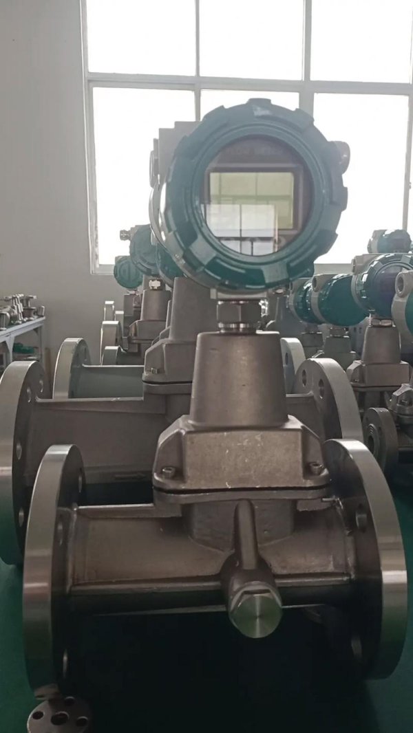 旋進(jìn)旋渦流量計(jì)