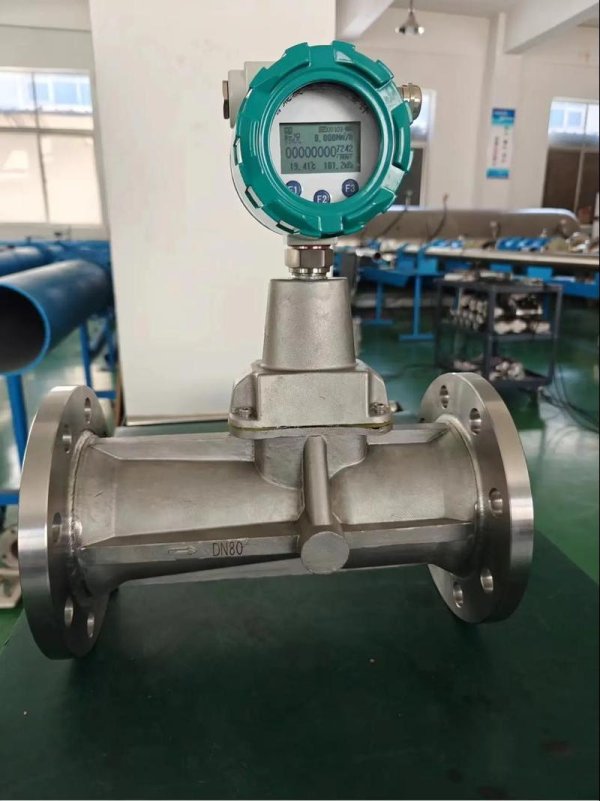 旋進(jìn)旋渦流量計(jì)