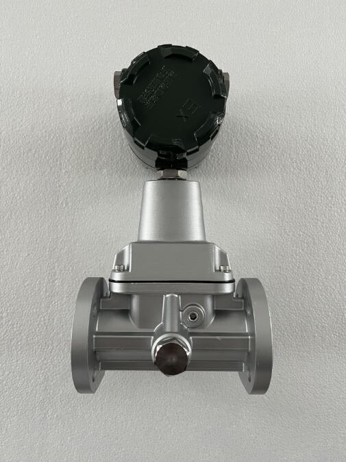 旋進(jìn)旋渦流量計(jì)