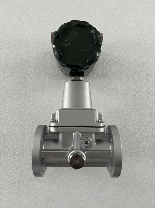 旋進(jìn)旋渦流量計(jì)