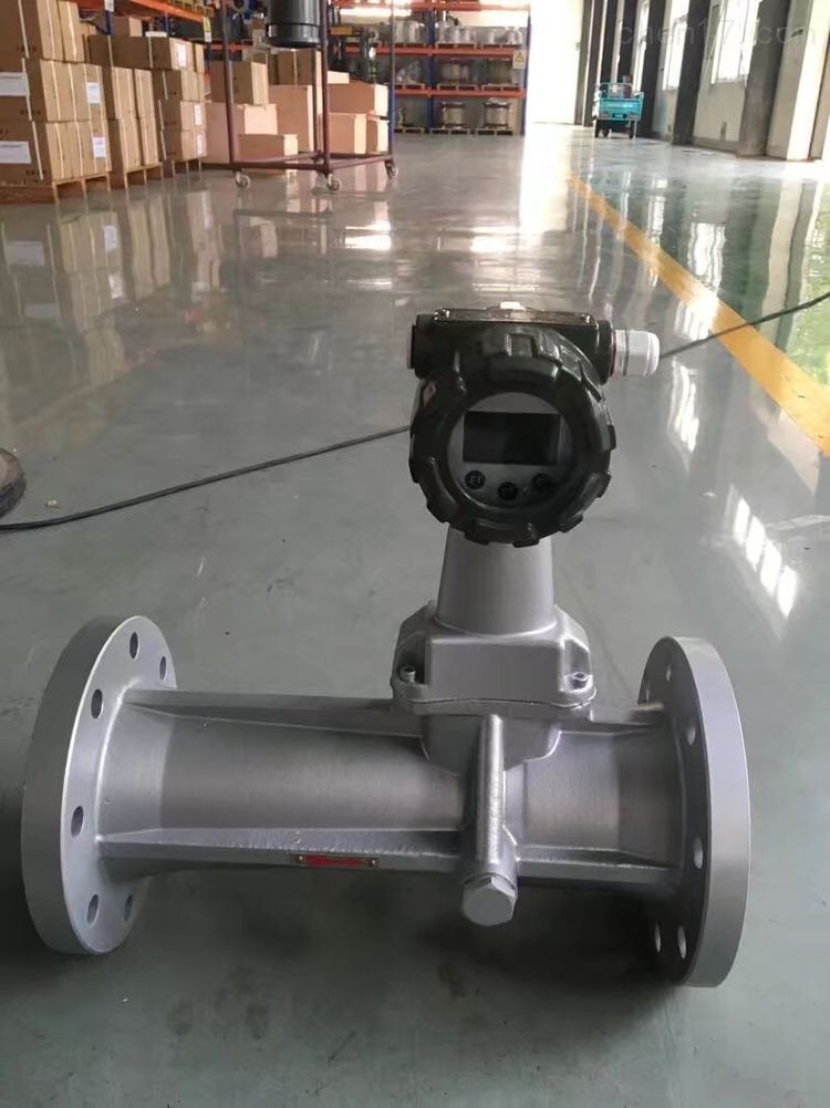 旋進(jìn)旋渦流量計(jì)