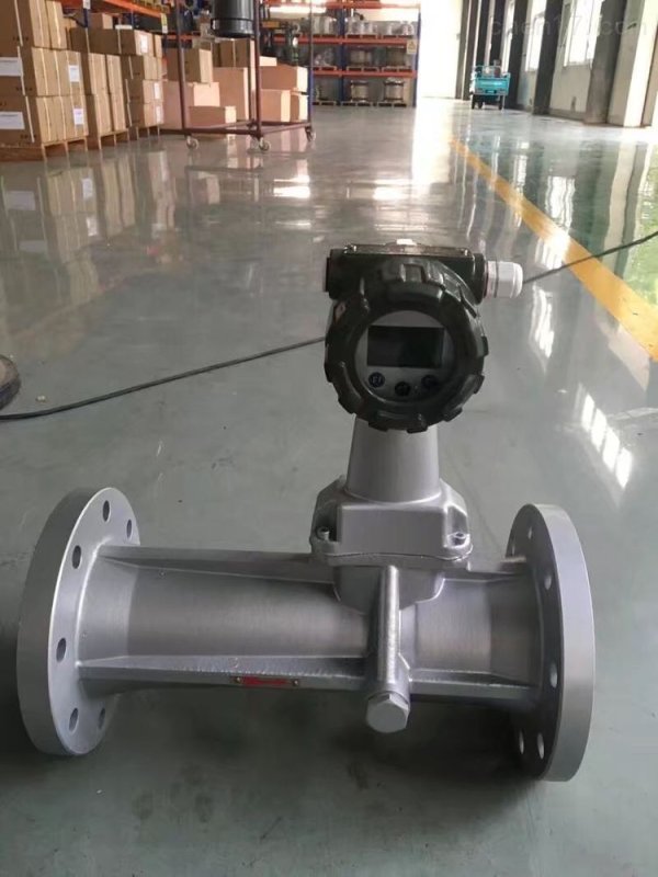 旋進(jìn)旋渦流量計(jì)