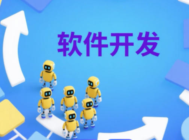 如皋運營應用軟件開發(fā)平臺,應用軟件開發(fā)