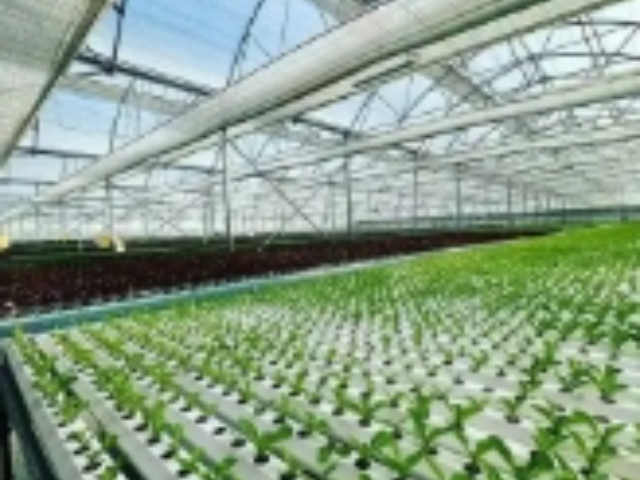 宝山区农作物栽培服务