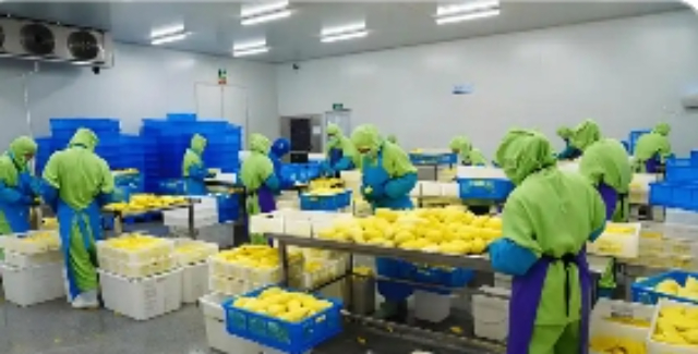 许昌推广农产品加工,农产品加工