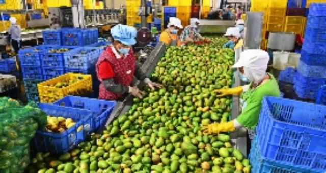 崇明区专注农产品加工