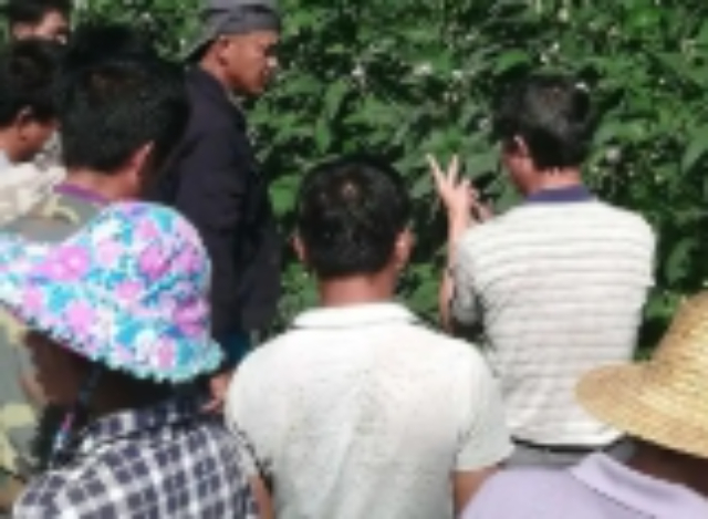 四川农作物栽培服务文化,农作物栽培服务