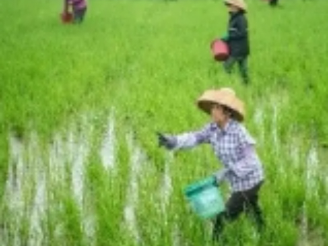 四川农作物栽培服务文化,农作物栽培服务
