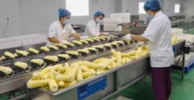 河南综合农产品加工