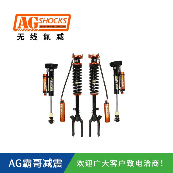 長城哈弗氮?dú)鉁p震器