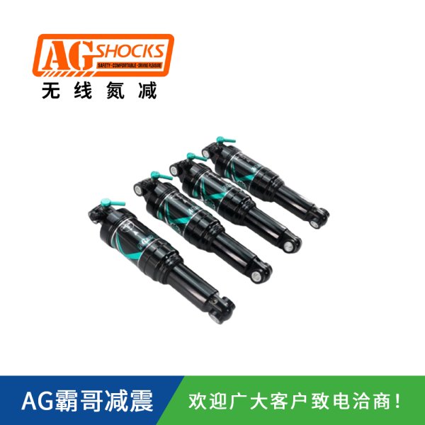 自行車軟尾后膽