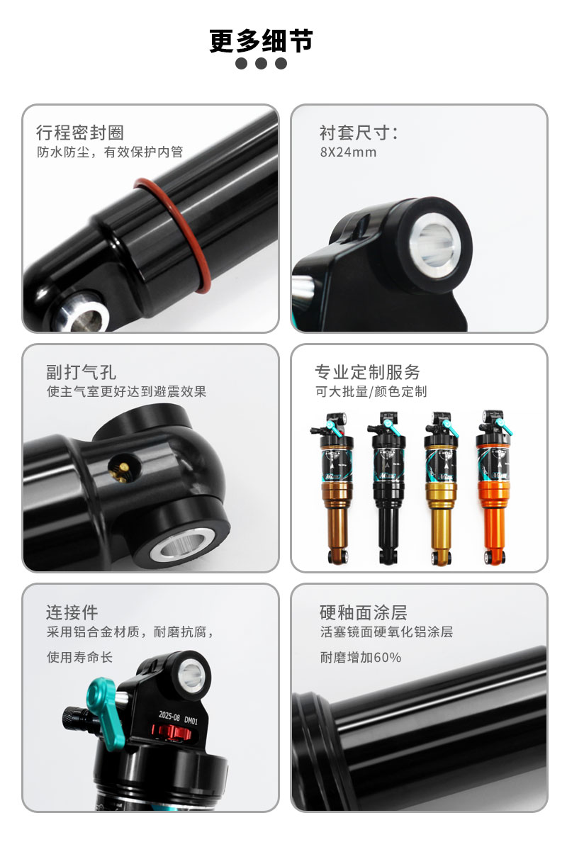 自行車安裝雙氣室氮?dú)廛浳埠竽? title=