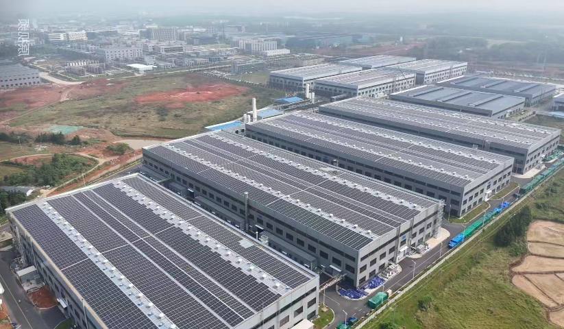 常州光伏电站运维 无锡亮辉新能源供应