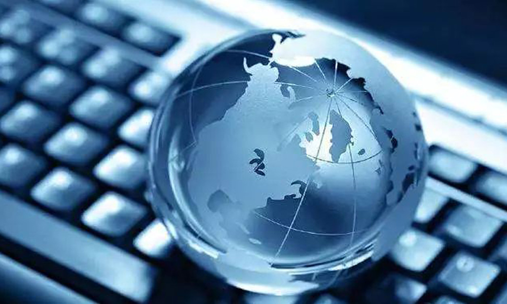 2025�������ҵ�¶���