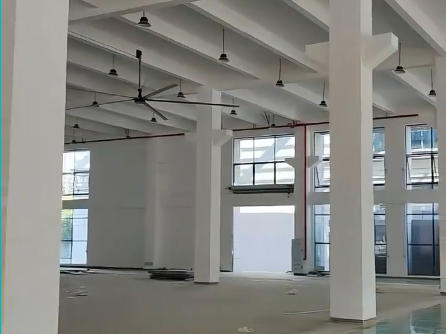 告別悶熱死角：貝格菲恩工業(yè)風(fēng)扇立體循環(huán)新解