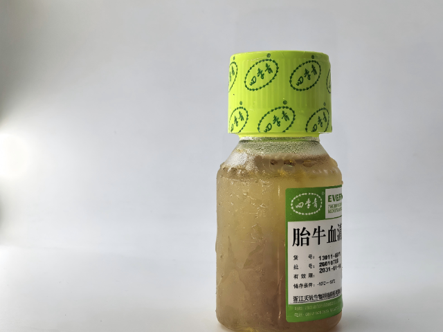上海干细胞培养胎牛血清和新生牛血清差异,胎牛血清
