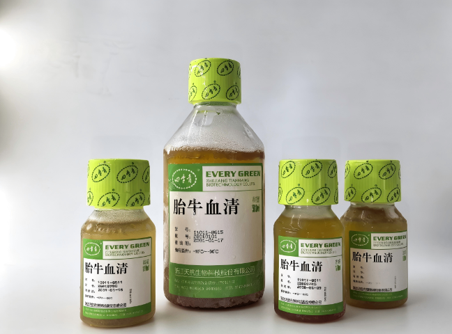 上海干细胞培养胎牛血清和新生牛血清差异,胎牛血清