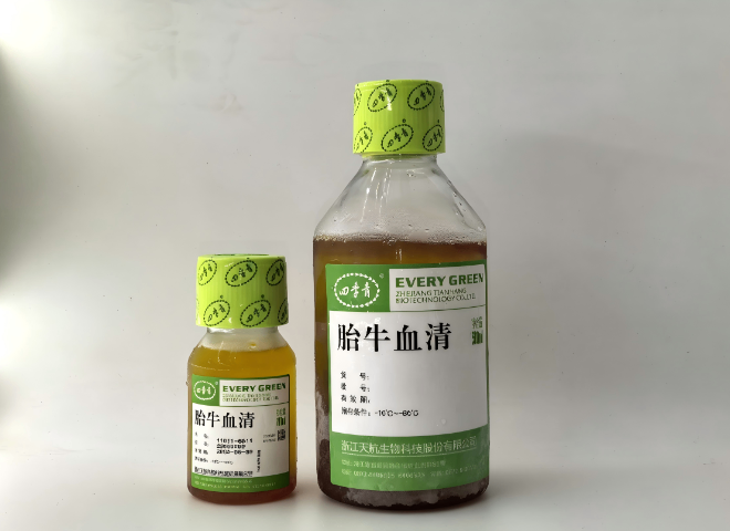 北京溯源可查胎牛血清联系方式,胎牛血清