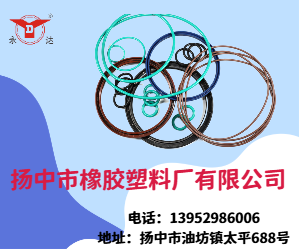 进口国产耐高温耐腐蚀全氟醚橡胶密封圈