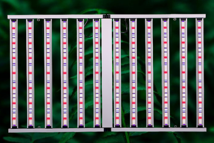 深圳八爪鱼全光谱植物灯效果怎么样