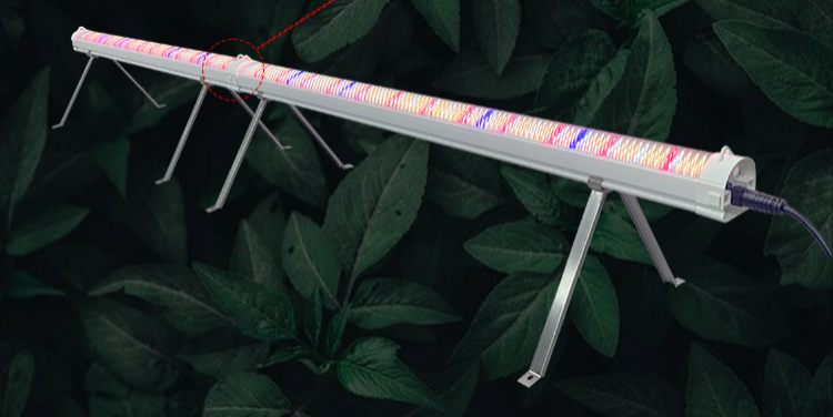 深圳八爪鱼全光谱植物灯效果怎么样,全光谱植物灯