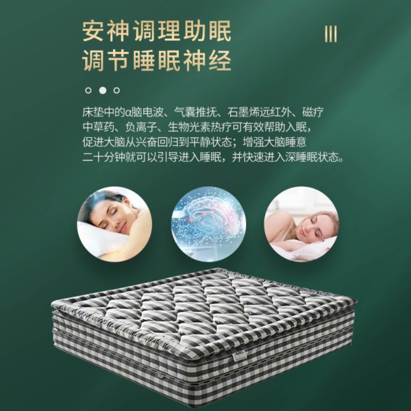 九千睡 AI 理療助眠床墊 全自動(dòng)按摩理療助眠止鼾 實(shí)時(shí)健康檢測 語音隨心聊天 家居控制 音樂療愈