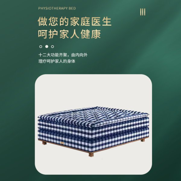 九千睡 AI 理療助眠床墊 全自動(dòng)按摩理療助眠止鼾 實(shí)時(shí)健康檢測 語音隨心聊天 家居控制 音樂療愈