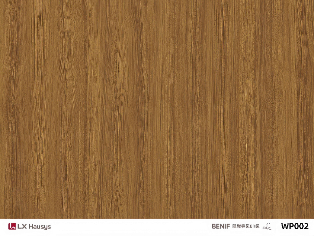 木纹膜公司的创新与未来发展