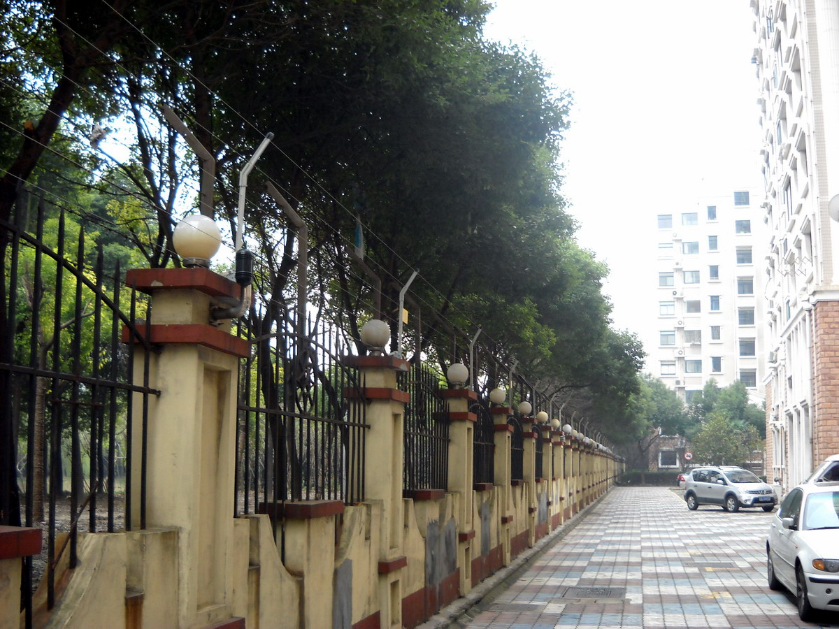 振動光纖工作原理及優勢深度解析