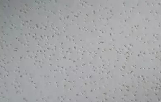 縮孔現(xiàn)象 縮孔現(xiàn)象