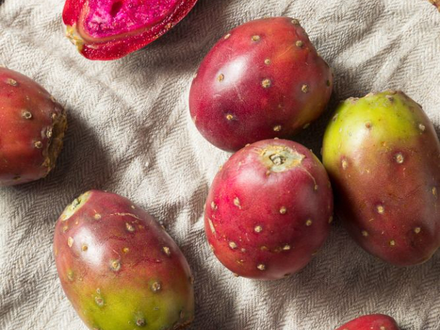 仙人掌籽油營養液 食品級 深圳自然歐植國際貿易供應