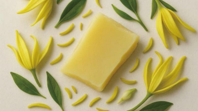 上海高品花蜡成分分析 德米特有机 深圳自然欧植国际贸易供应