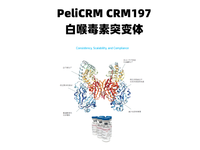 上海美国CRM197 推荐咨询 上海曼博生物医药科技供应