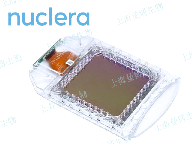 無細(xì)胞蛋白表達(dá),蛋白表達(dá)