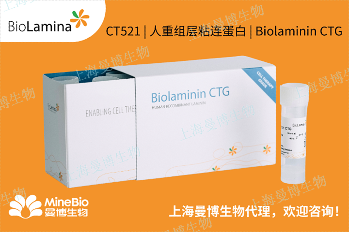 天津神經(jīng)分化重組層粘連蛋白Biolaminin521天然存在