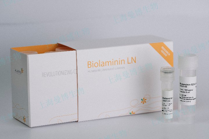 廣東ESCs培養(yǎng)重組層粘連蛋白Biolaminin521單細(xì)胞傳代