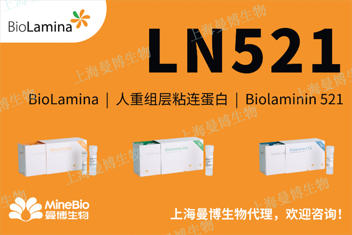 廣東胚胎干細(xì)胞重組層粘連蛋白Biolaminin521天然存在