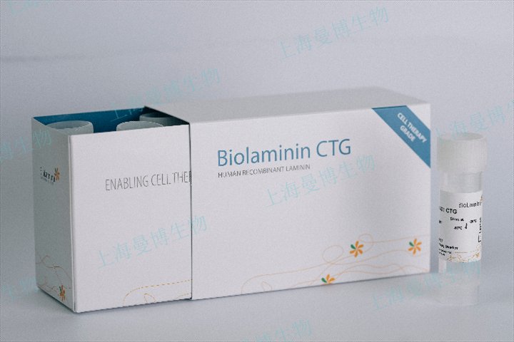 福建進(jìn)口重組層粘連蛋白Biolaminin521可追溯性,重組層粘連蛋白Biolaminin521