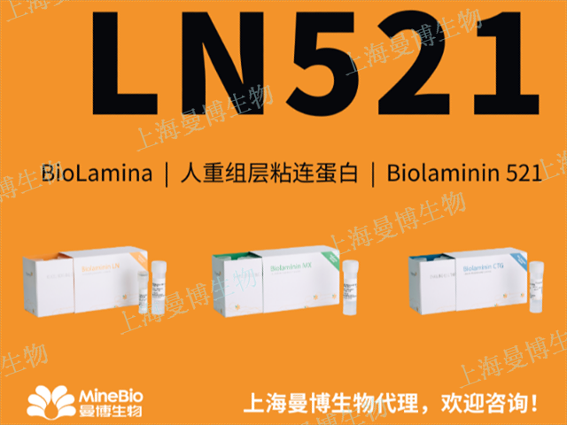 江蘇包被基質(zhì)重組層粘連蛋白Biolaminin521單細(xì)胞傳代,重組層粘連蛋白Biolaminin521