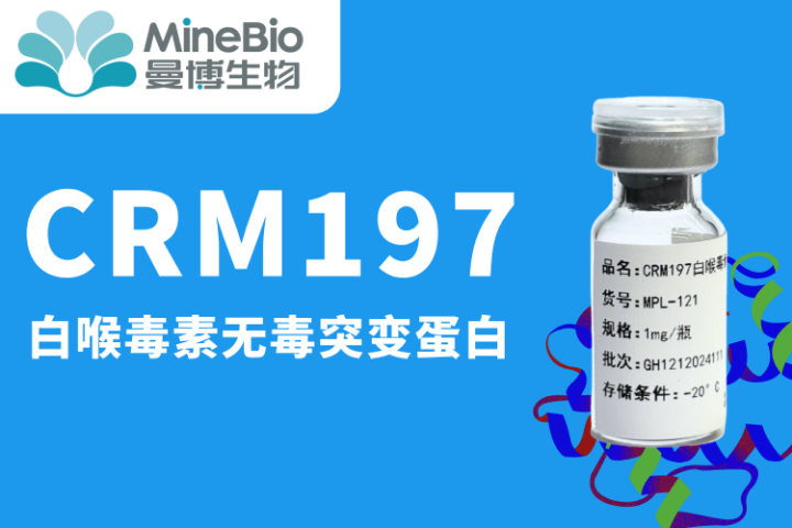 上海高性價比Diphtheriatoxin運輸條件 推薦咨詢 上海曼博生物醫(yī)藥科技供應(yīng)