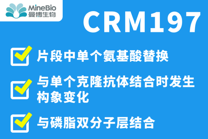 上海高性價(jià)比白喉毒素突變體注意事項(xiàng) 信息推薦 上海曼博生物醫(yī)藥科技供應(yīng)